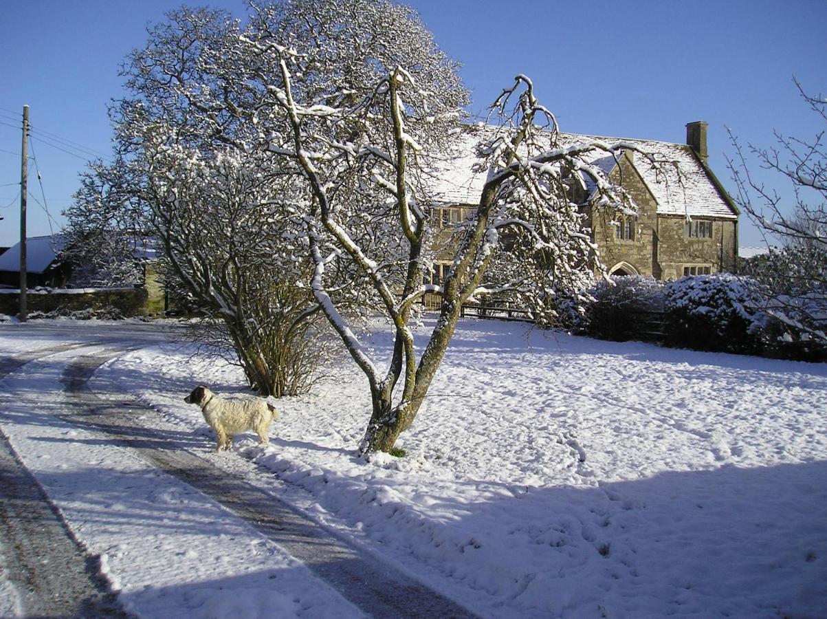 Seymours Court Bed & Breakfast Beckington Dış mekan fotoğraf
